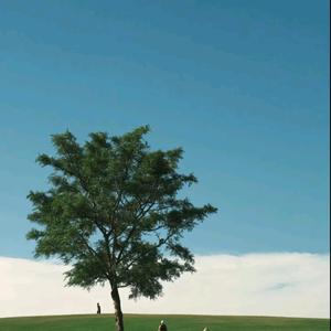 你若安好便是晴天2头像