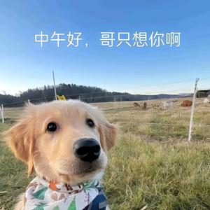 喜欢上课脱鞋子头像