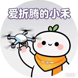 爱折腾的小禾头像