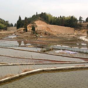 A drop of water一滴水头像