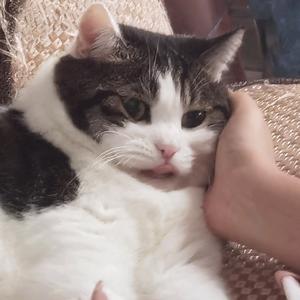 某人说……好头像