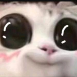 🇨🇳朱大帅头像