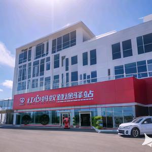 红心蚂蚁🐜头像