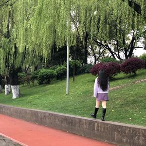 碧水湾-向阳而生。H🌻。头像