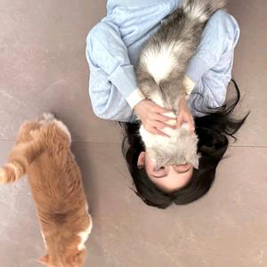 祎口橘子🍊头像