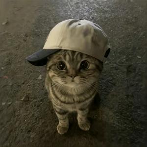 劳资叫小茹头像