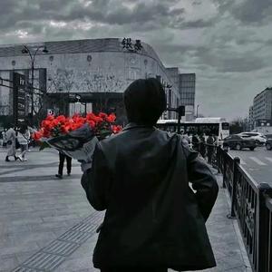 37号～元素头像