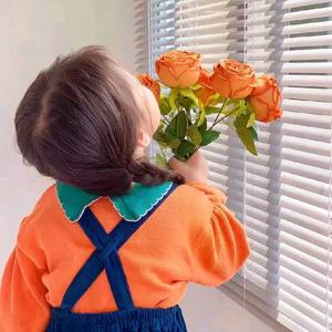 风吹麦浪🌸头像