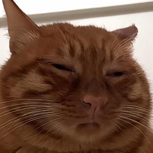 一颗荡秋千的葡萄头像