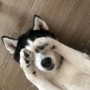 -/.（不学做饭了 没天赋）头像