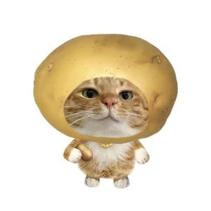 土豆大王🥔头像