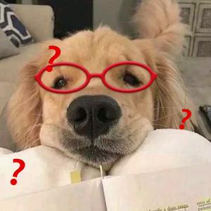 博士小狗爱飞行头像