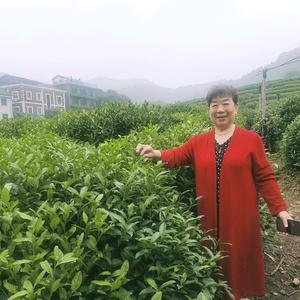 伊梦头像