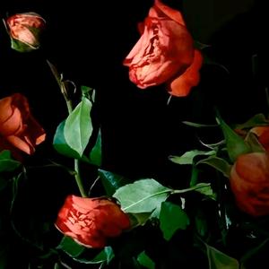 因你❤️心栋~微微头像