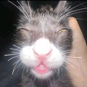 李嘉图.🏸头像