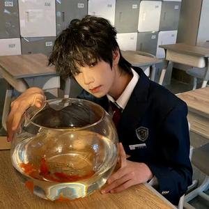 一只橹橹豚˃ʍ˂头像