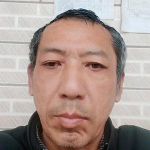 人生只是过客头像