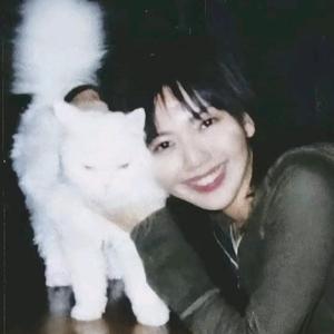 好困啊啊啊啊啊头像