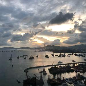 鸭子头像