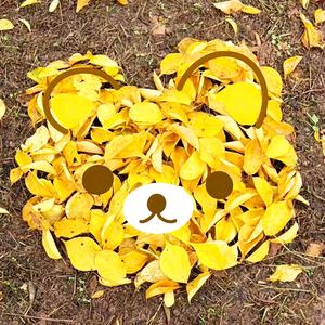 吃不饱的my当劳头像