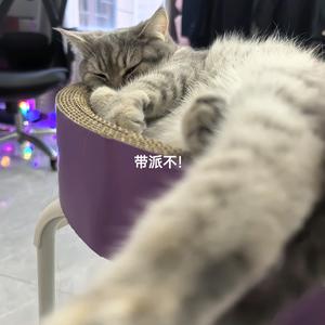 臻选足下优品头像