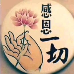 五啊哥（拒绝私聊）头像