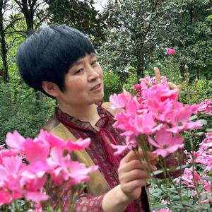 诗杰好物分享头像