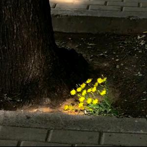 清风诵语⁶⁵⁹头像