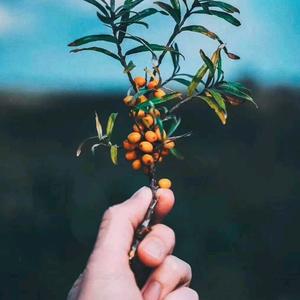 耿老师爱分享头像