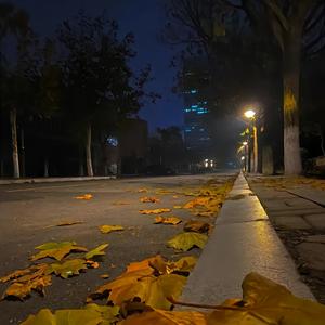 自己哄自己头像