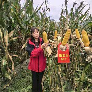 乐山泓青农业（大小姐）头像