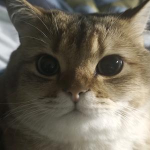 手捧鲜花的生活头像