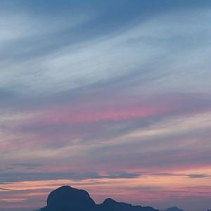 💞ℒᎭℯ⃝罗花*有意ﾟ🌿࿐头像