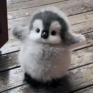 淡水咸鱼🌈头像