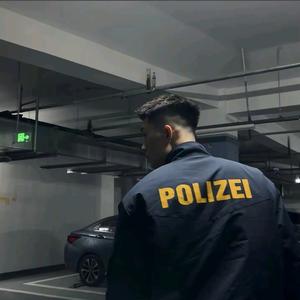你好.Audi头像