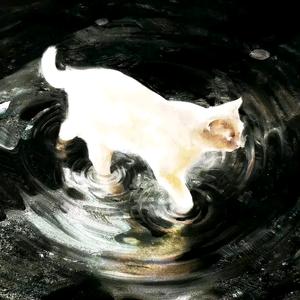 每日一曲💤头像