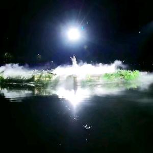 如愿❤️小海星⭐头像