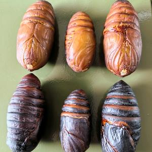 西丰县房木镇云朵农产品经营店（个体工商户）头像