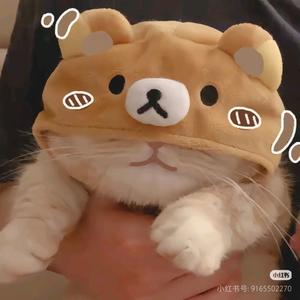 爱宠人老李头像