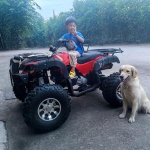 天涯九万里头像