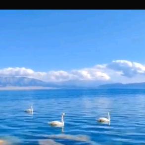 芬芬绘生活头像