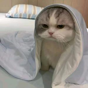 4ever.⁶⁶⁸头像