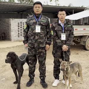 安徽龙焱护农队头像