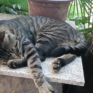 芦木木可的快乐生活头像