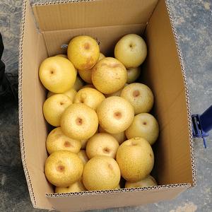 “邮选”精品特产——赵鹏头像