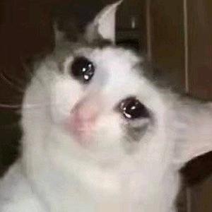 天台上的臭屌丝头像