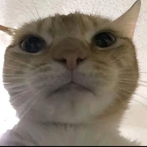 AAA78建材批发（顾家版）头像