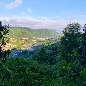 狂风卷麦浪头像