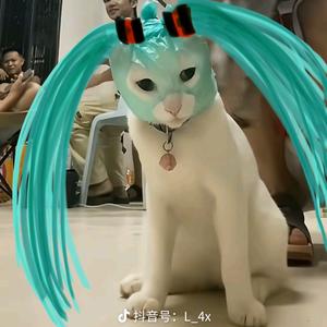 阿七的流浪者出逃计划头像