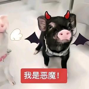 𝐢𝐬𝐭𝐯𝐥𝐲头像